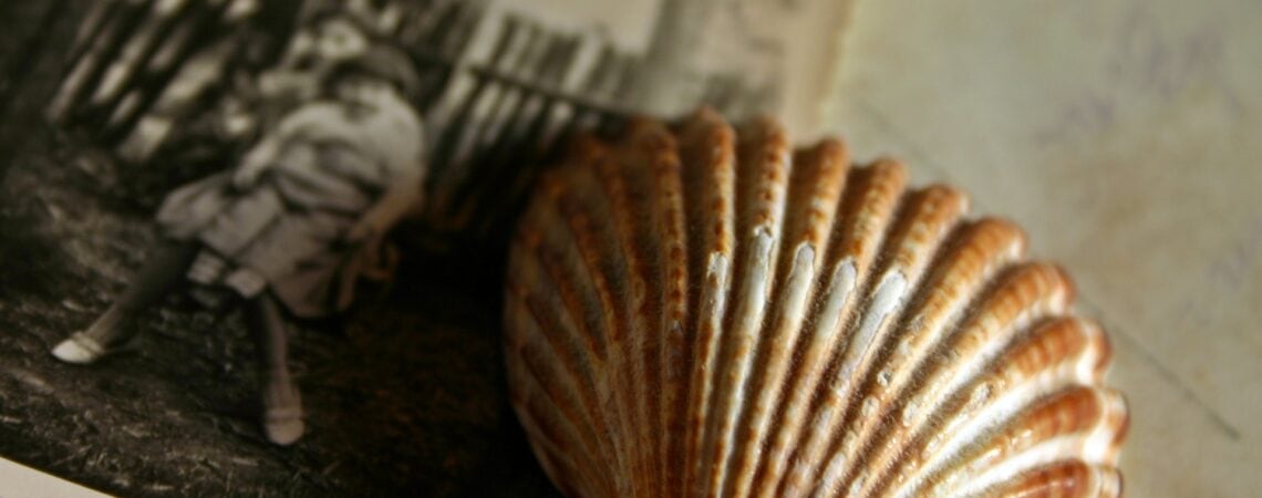 Bioherz_Blogbeitrag_Oktober_Herbstbeginn